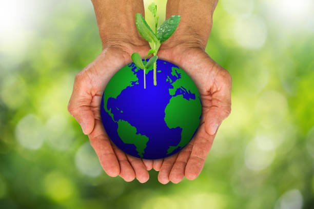 istock Man's hands holding earth globe with green sprouts growing on blurred bokeh background, environment concept 688540278