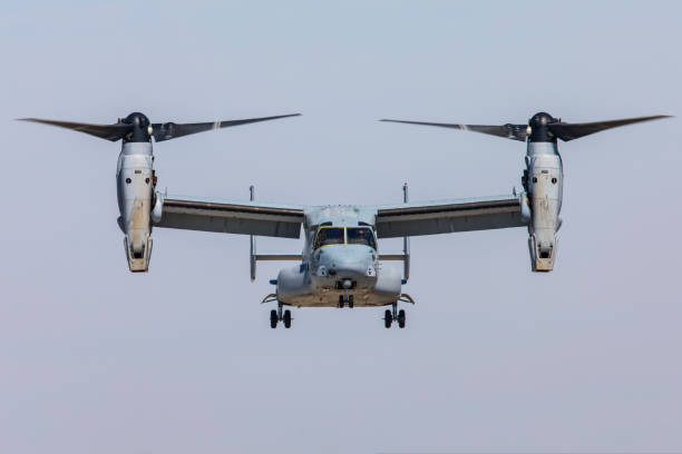 mv-22 osprey schweben - fischadler stock-fotos und bilder