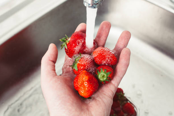 erdbeeren in händen unter wasser. pure frucht ist gesundheit - washing fruit preparing food strawberry stock-fotos und bilder