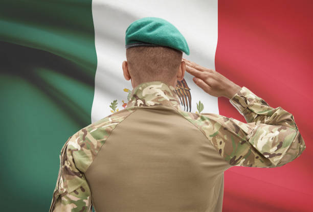 Dark-skinned soldier with flag on background - Mexico stock photo