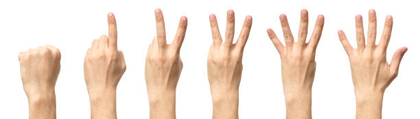 istock Male hands counting from zero to five isolated on white background 688548166