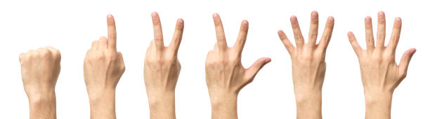 istock Male hands counting from zero to five isolated on white background 688548178
