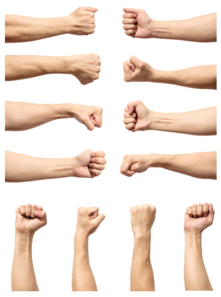 set of male's fist isolated on white background - punho imagens e fotografias de stock