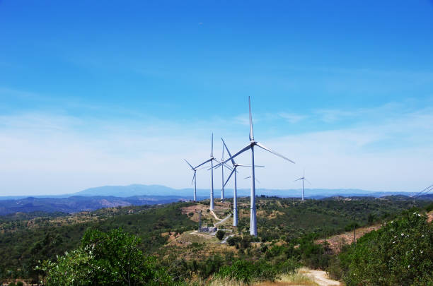 40+ Green Mountain Energy Stock Photos, Pictures & Royalty-Free Images