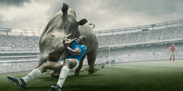 A CG image of a professional rugby player in blue and white kit, tackling a rhino around large horn during a rugby match. The action is takes place in a generic outdoor rugby stadium full of spectators, under a cloudy, stormy sky. Rhino is created entirely by the artist.