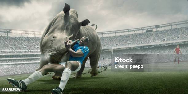 Rugby Player Tackling Rhino During Match In Outdoor Stadium Stock Photo - Download Image Now