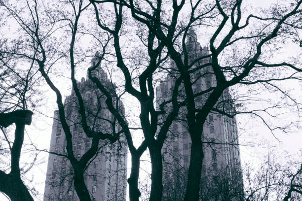 istock Central Park Tree Branches with Landmark Architecture in NYC 688562258
