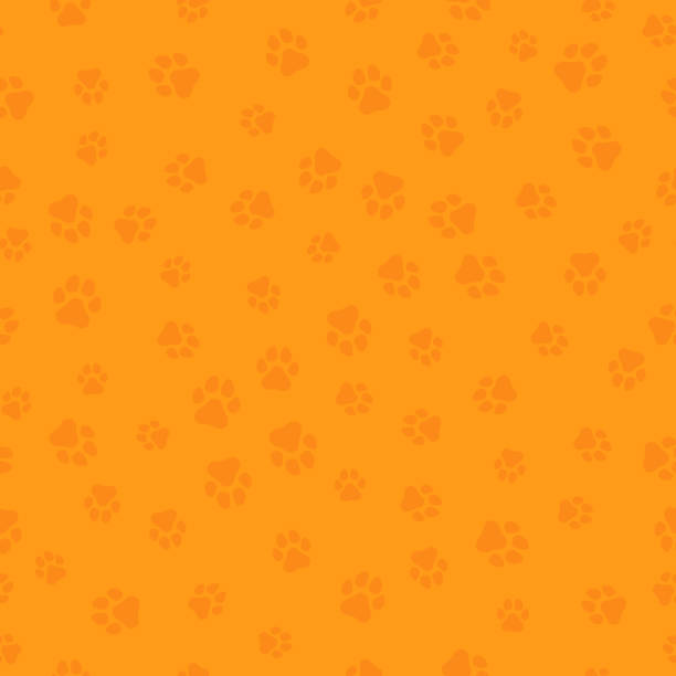 illustrazioni stock, clip art, cartoni animati e icone di tendenza di il cane terrestre. un modello di tracce canine di diverse dimensioni. le tracce del cane sono arancioni. illustrazione vettoriale in stile piatto - dog spotted purebred dog kennel