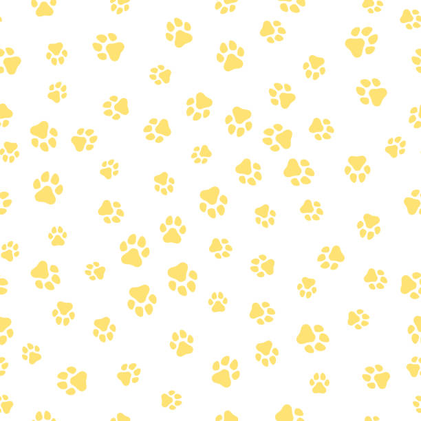 ilustrações de stock, clip art, desenhos animados e ícones de the earth dog. a pattern of canine tracks of different sizes. the dog tracks are yellow on a white background. vector illustration in a flat style - dog spotted purebred dog kennel