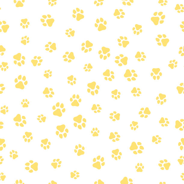 земная собака. узор из собак треков разных размеров. собачьи следы желтые на белом фоне. векторная иллюстрация в плоском стиле - dog spotted purebred dog kennel stock illustrations