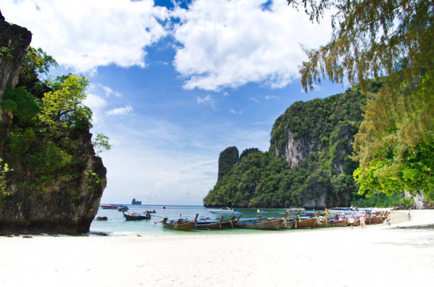istock landscape of tropical 688566750