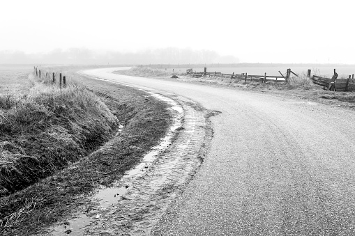 Empty country road in the fog. The Netherlands.Texel Island.