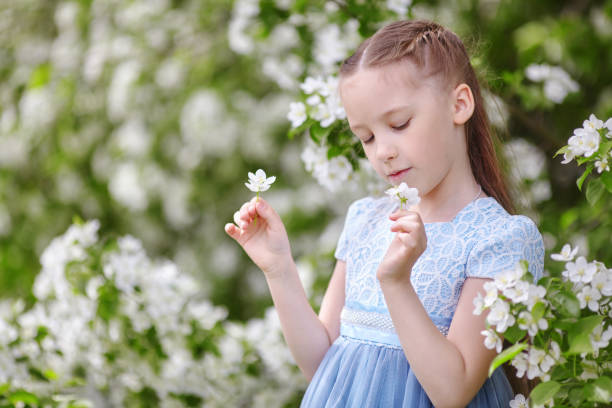 istock Cute little girl in blooming apple tree garden at spring 688568504