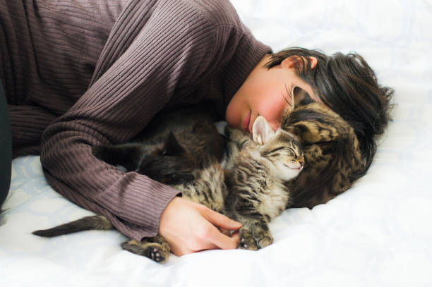 mujer morena joven descansando con tres lindos gatitos en la cama. - 2838 fotografías e imágenes de stock