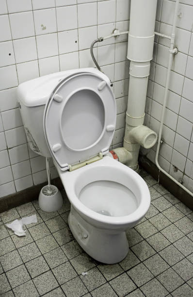 istock Toilet in bathroom 688569994