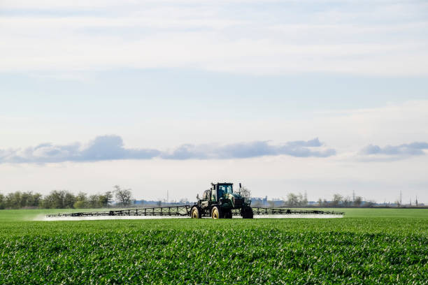 traktor mit einer sprühvorrichtung für fein verteilten dünger. traktor auf dem sonnenuntergang hintergrund. traktor mit hohen rädern macht dünger auf jungen weizen. der einsatz von fein verteilten spray chemikalien - spraying agriculture farm herbicide stock-fotos und bilder