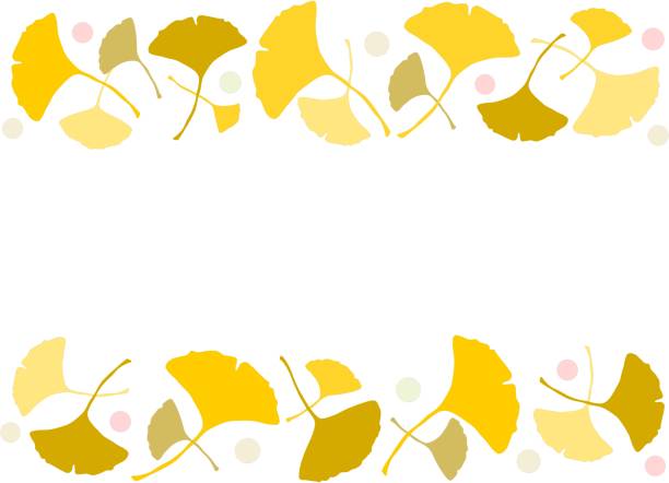 illustrations, cliparts, dessins animés et icônes de illustration du ginkgo - autumn leaf isolated white background