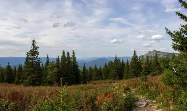 Photo of The nature of the Southern Urals. The mountains. Iremel. Summer in the mountains in the Southern Urals.