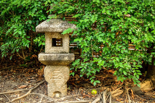 istock trees in the Garden japan style 688581920