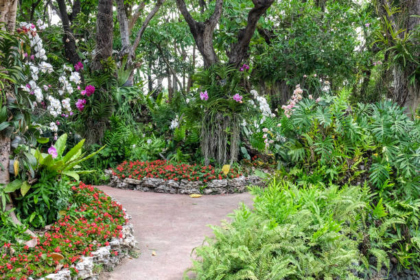 istock Trees in the shade garden 688582560