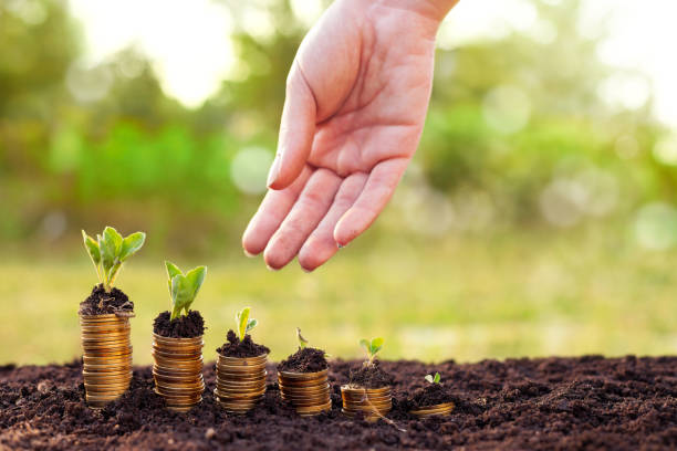 istock Invest in your money 688585106