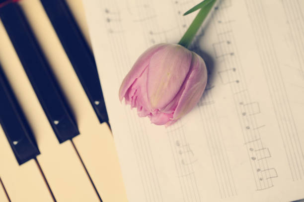 istock Tulip flower on a musical instrument 688587348