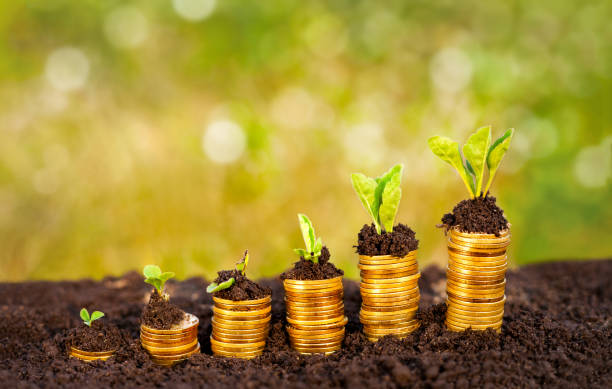 istock Money growing in soil 688589884