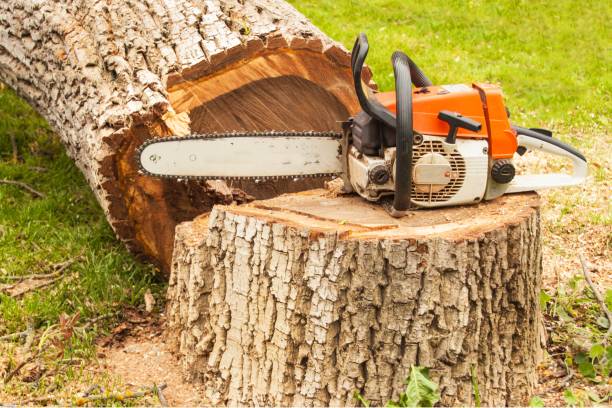 istock Professional chainsaw is on walnut tree. Gasoline saw 688590696