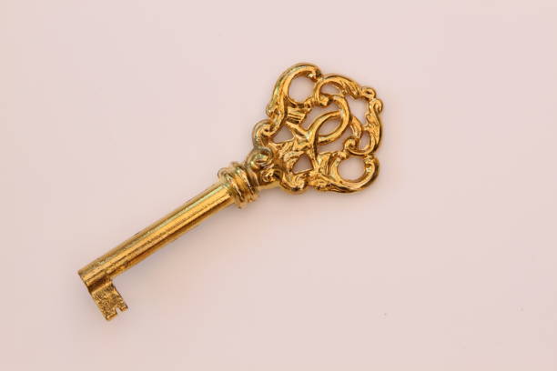 istock Metal key in antique look 688594224