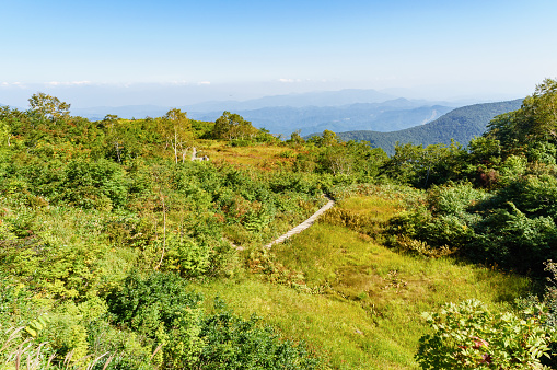 Photographed with Goryu Enmi Ridge: Mountain Path

