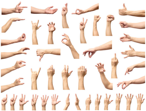 Multiple male caucasian hand gestures isolated over the white background, set of multiple images Multiple male caucasian hand gestures isolated over the white background, set of multiple images men hands stock pictures, royalty-free photos & images