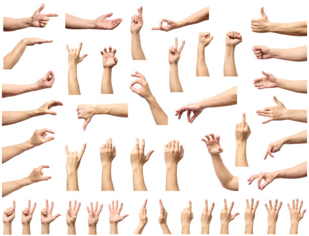 multiple male caucasian hand gestures isolated over the white background, set of multiple images - gesturing imagens e fotografias de stock