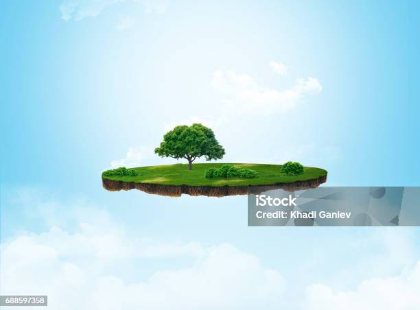 3d Illustration Of A Soil Slice Green Meadow With Trees Isolated On Light Background Stock Photo - Download Image Now