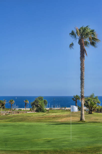 istock Beautiful views at Amarilla Golf Course, Tenerife 688599740