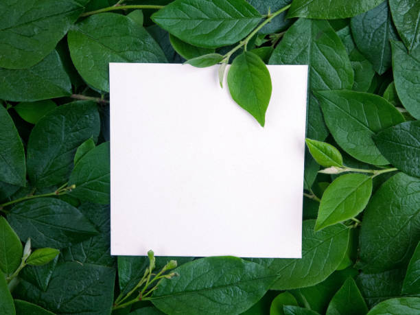 istock Creative layout made of leaves with paper card note. Flat lay. Nature concept 688601980