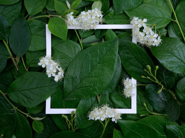 istock Creative layout made leaves with white paper frame. Flat lay. Nature concept 688602036