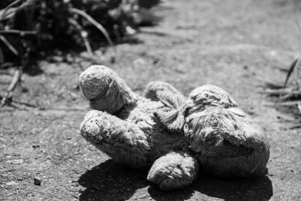 istock Abandoned dog doll on the pavement. Black-white tone 688602096