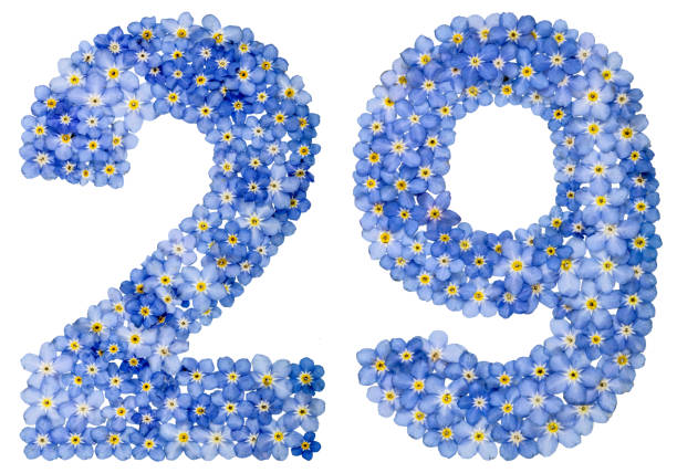 istock Arabic numeral 29, twenty nine, from blue forget-me-not flowers 688604156