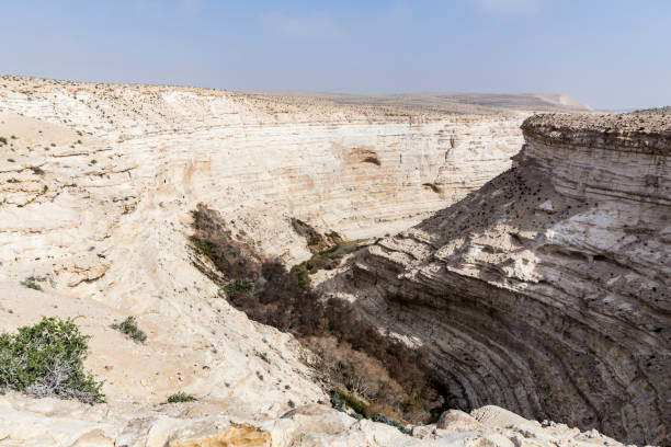 istock En Advat National Park or Ein Advat, Negev, Israel 688606708