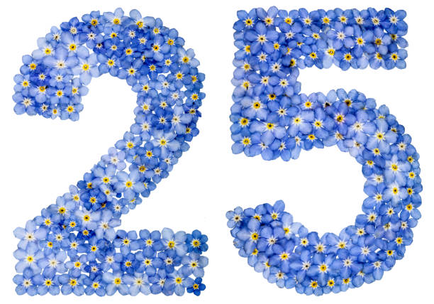 istock Arabic numeral 25, twenty five, from blue forget-me-not flowers 688606762