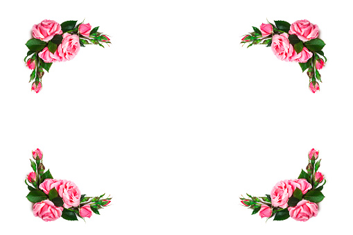 Flowers frame isolated on white background
