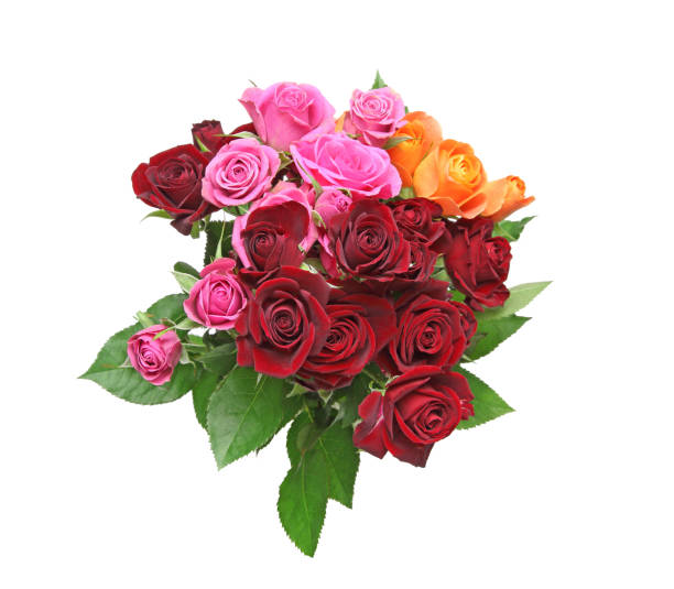 istock Bouquet of rose 688607742