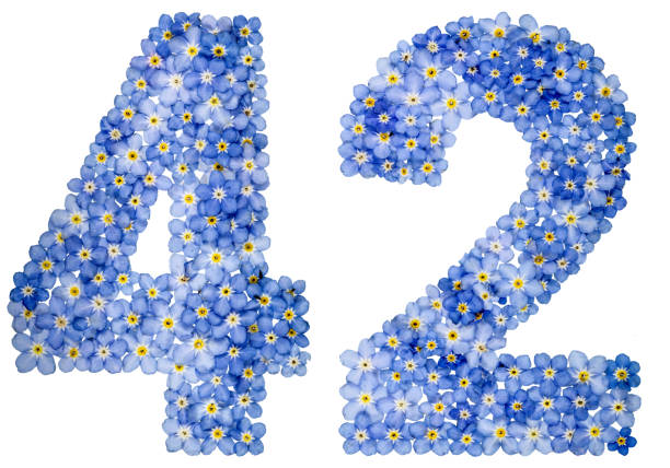istock Arabic numeral 42, forty two, from blue forget-me-not flowers 688608262