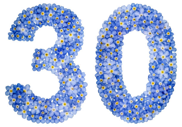 istock Arabic numeral 30, thirty, from blue forget-me-not flowers 688609172