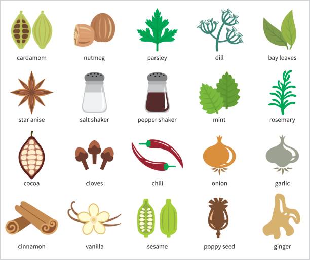 Spices vector icon set A set of twenty icons. poppy seed stock illustrations