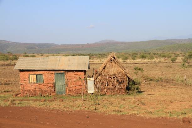 istock Lake Manyara, Tanzania 688610300