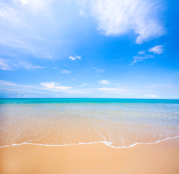 istock beach and tropical sea 688610504