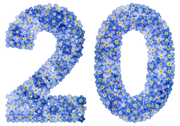 istock Arabic numeral 20, twenty, from blue forget-me-not flowers 688616014