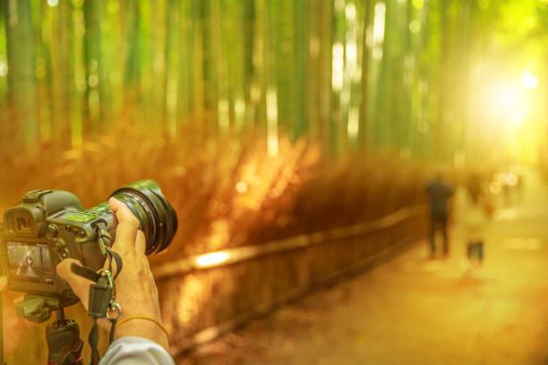 istock Arashiyama bamboo photographer 688640138