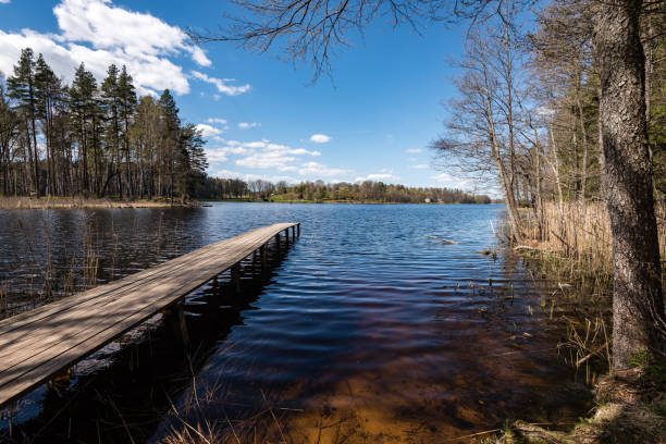 istock reflection of clouds in the lake with boardwalk 688658838